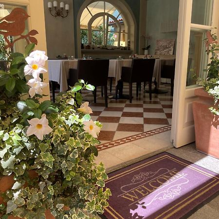 Villa Palmira Kinderfreies Hotel Каннобио Экстерьер фото