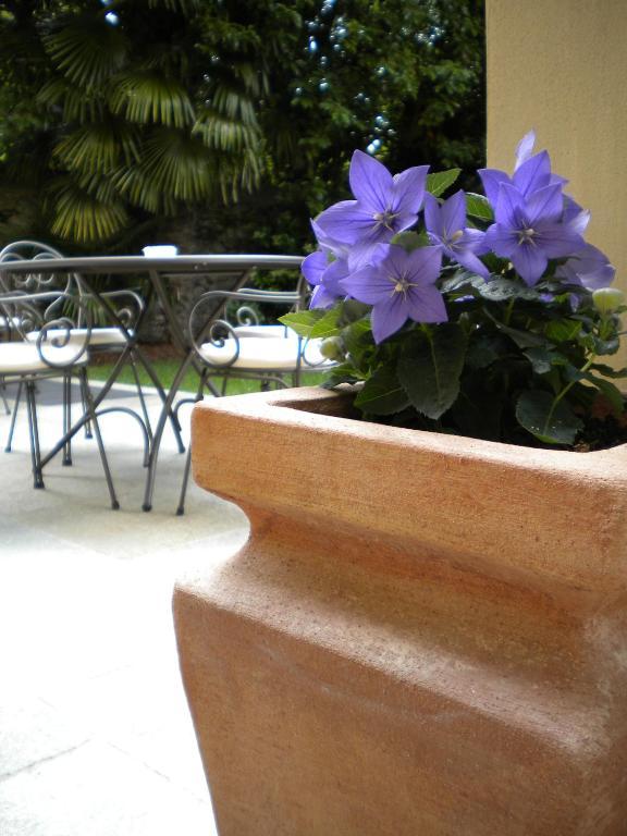 Villa Palmira Kinderfreies Hotel Каннобио Экстерьер фото